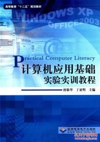 計算機應用基礎實驗實訓教程 軟件開發入門實踐